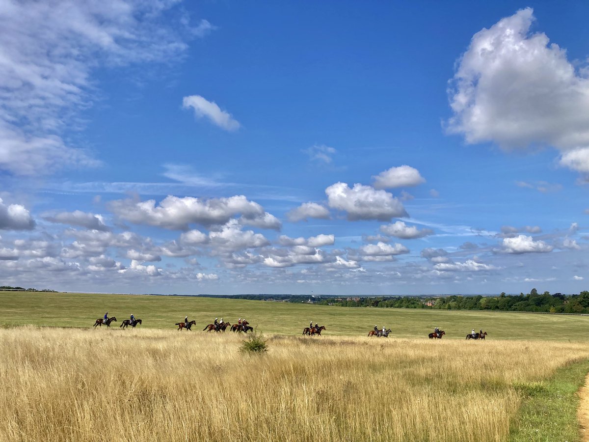 JohnWathenBerry's tweet image. Great skies this morning @NewmarketGallop. @AlfredMunnings would have loved it.