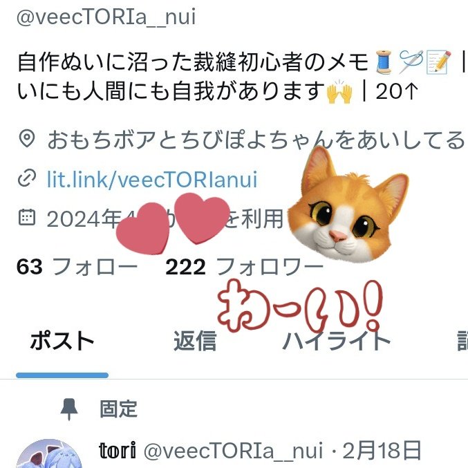 veecTORIa__nui's tweet image. わ〜い🎶
とりあえずお試しでぬいオーダーやってみよっかな〜とはずっと思ってたんだけど、222フォロワーさんにかこつけて猫耳デザ限定とかでやりたいかも〜🐱🐱