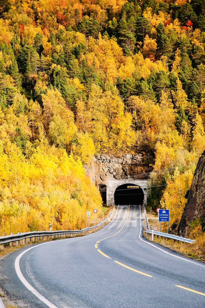 BrownAdeli53467's tweet image. Norway