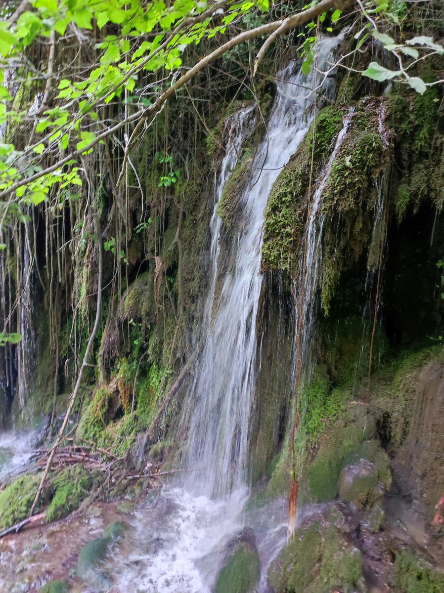 wilhelm_2112's tweet image. Cascate del Volturno, Castel San Vincenzo (Isernia).
Il Molise esiste ed è anche bellissimo.