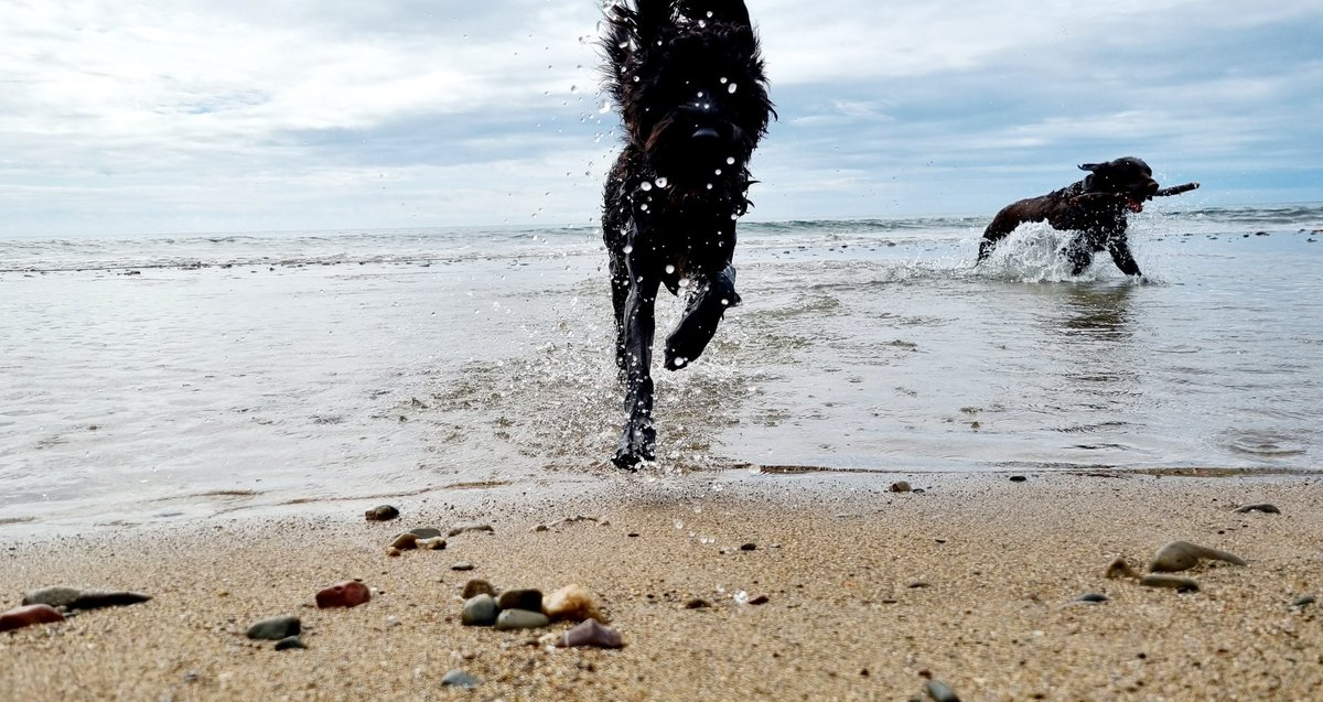 Tessa Delves tweet media