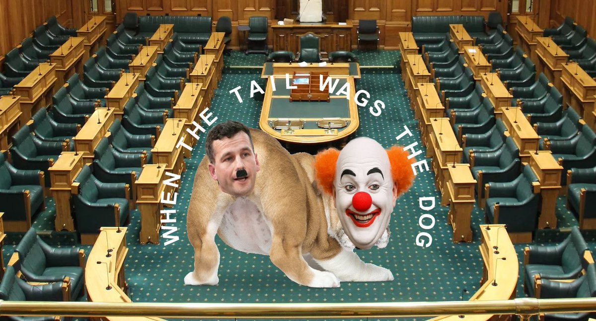 SkipMccabe's tweet image. 