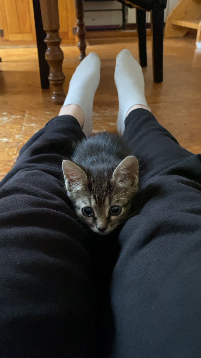 lokimimii's tweet image. première attaque du bébé !!!