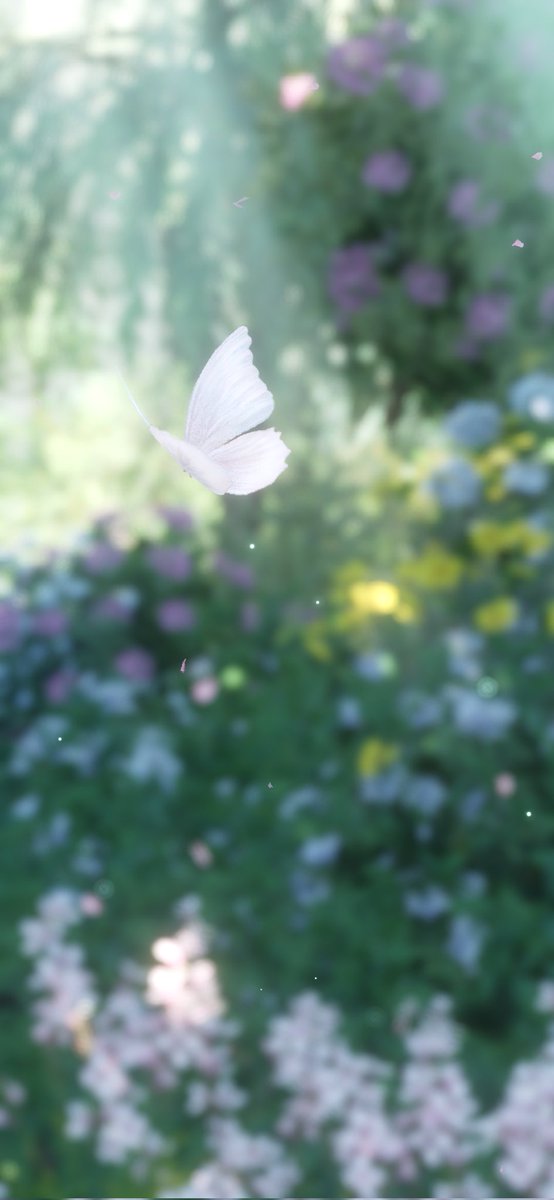 𝓐ngelita໒꒱ 🌒🦋 tweet media