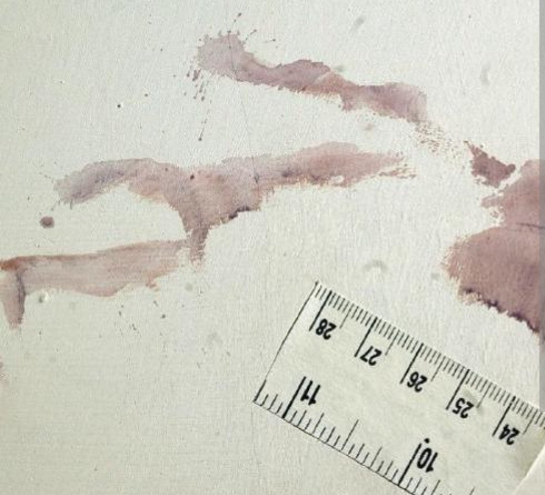 PascucciDaniela's tweet image. A parer mio una mano asciutta quegli schizzi non li lascia #Garlasco #impronta33