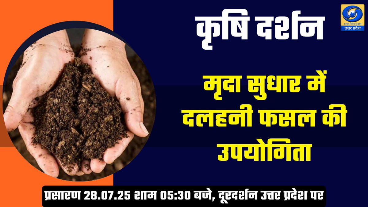 DDUttarPradesh's tweet image. देखिए कार्यक्रम #कृषि_दर्शन आज शाम 05:30 बजे 

विषय - मृदा सुधार में दलहनी फसल की उपयोगिता

प्रसारण #डीडी_यूपी पर और youtube.com/live/hO6ygg9kH…
#SoilImprovement, #PulseCrops, #KrishiDarshan, #OrganicFarming, #GreenAgriculture