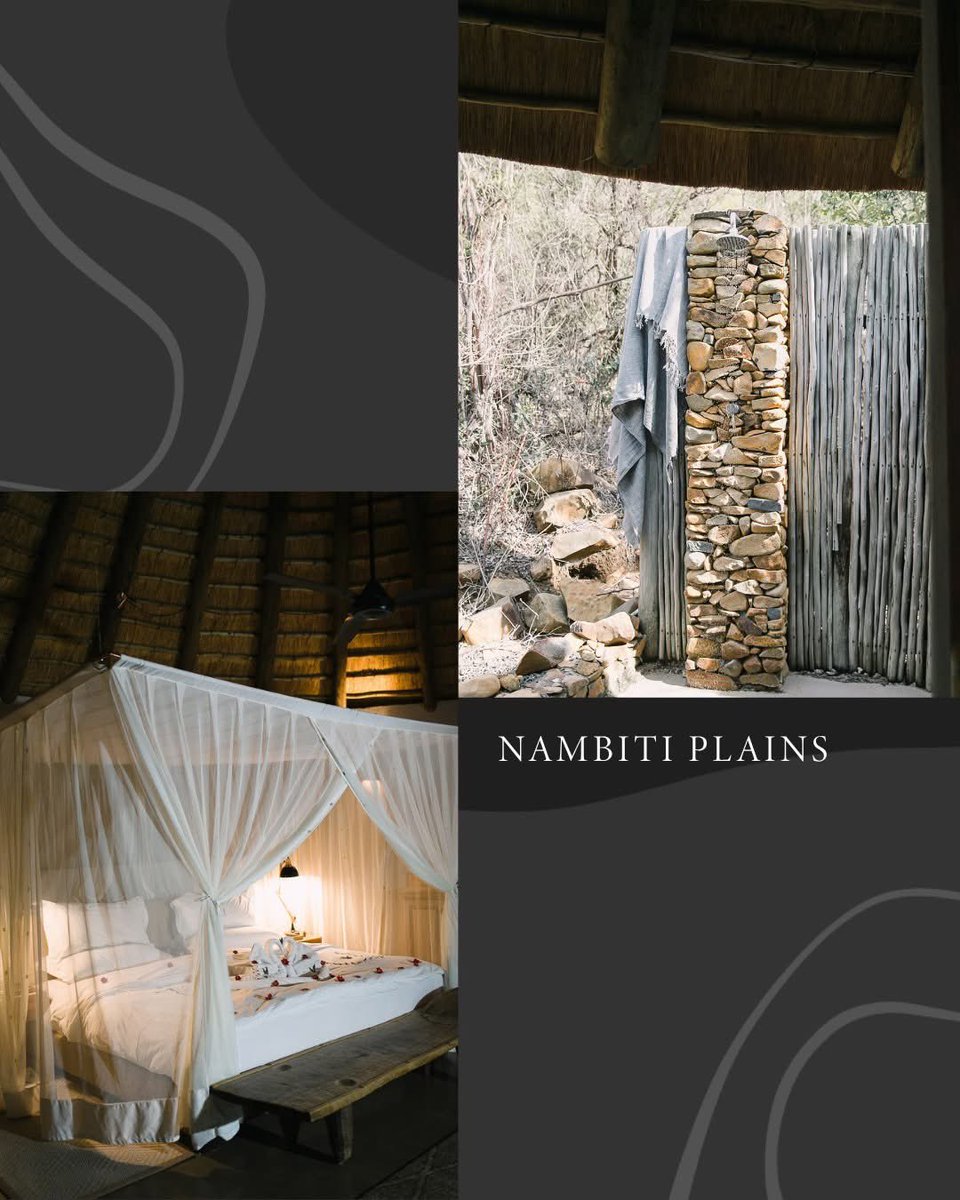 Luxurious sleep, wild sounds, and open-air stone showers — Nambiti Plains is where nature and comfort meet. 🌿🌙💧
📸 Dust and Dreams

#ExperienceNambiti #Safari #Big5 #LuxuryAwaits #NatureLovers #SouthAfrica #Wildlife #NambitiReserve #BushLodges