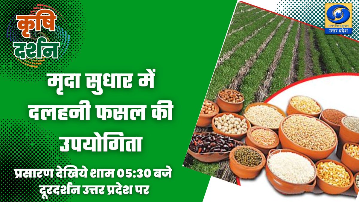 DDUttarPradesh's tweet image. देखिए कार्यक्रम #कृषि_दर्शन आज शाम 05:30 बजे

विषय - मृदा सुधार में दलहनी फसल की उपयोगिता

प्रसारण #डीडी_यूपी पर और youtube.com/live/hO6ygg9kH…
#SoilImprovement, #PulseCrops, #KrishiDarshan, #OrganicFarming, #GreenAgriculture
