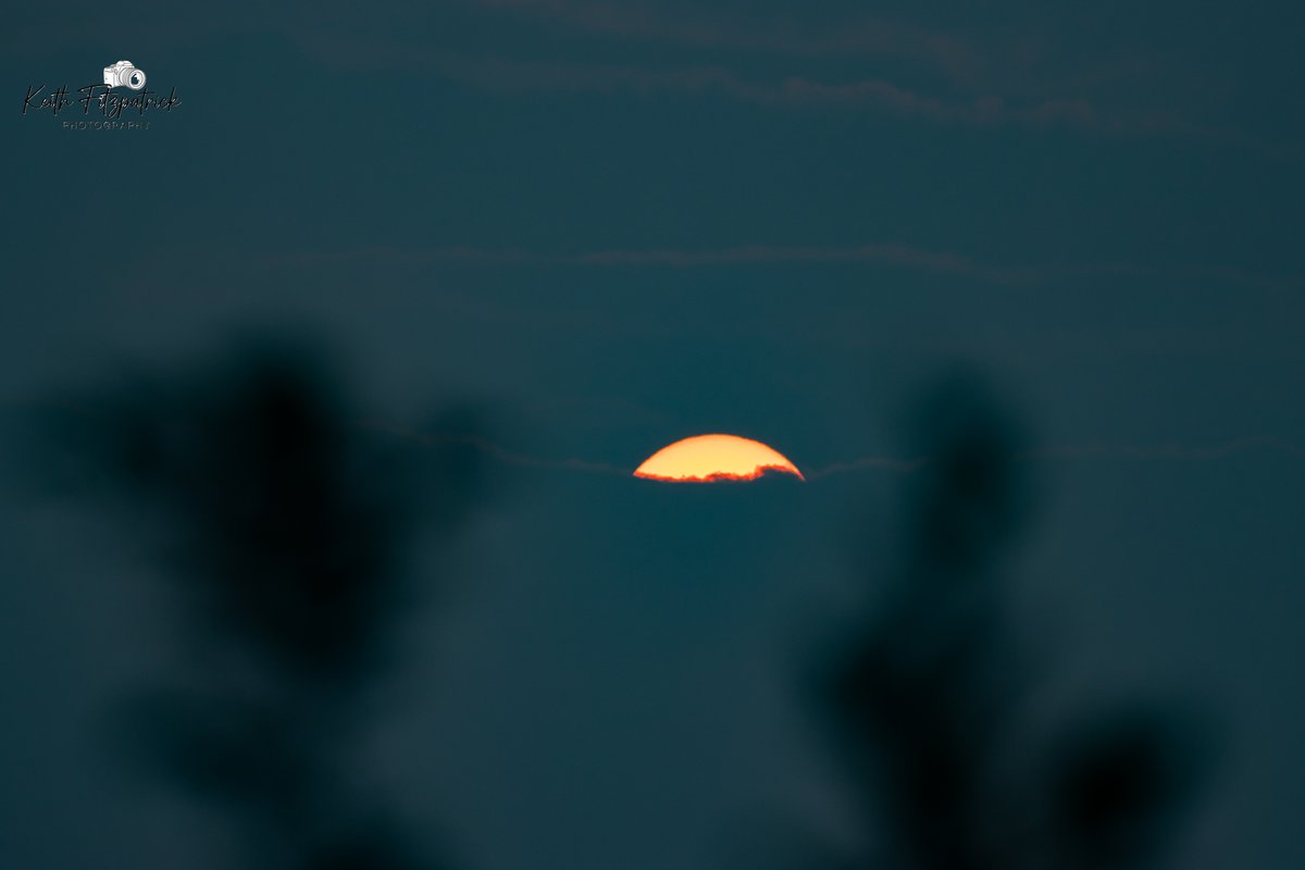 KeithFitz81's tweet photo. July 28th 2025 - A smokey sunrise here in Labrador West again today. #nlwx #smoke #smokeyskies #wildfiresmoke #forestfiresmoke #forestfires #sky #skyphotography #nature #NaturePhotography #thebigland #labrador #wethenorth #labradorwest #labradorstrong #sunrise #SunrisePhotography https://t.co/HXynZJ2FuX