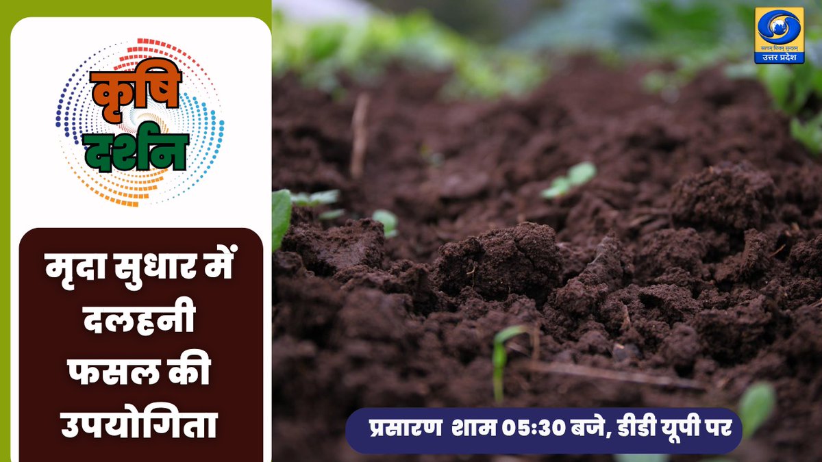 DDUttarPradesh's tweet image. देखिए कार्यक्रम #कृषि_दर्शन आज शाम 05:30 बजे

विषय - मृदा सुधार में दलहनी फसल की उपयोगिता

प्रसारण #डीडी_यूपी पर और youtube.com/live/hO6ygg9kH…
#SoilImprovement, #PulseCrops, #KrishiDarshan, #OrganicFarming, #GreenAgriculture
