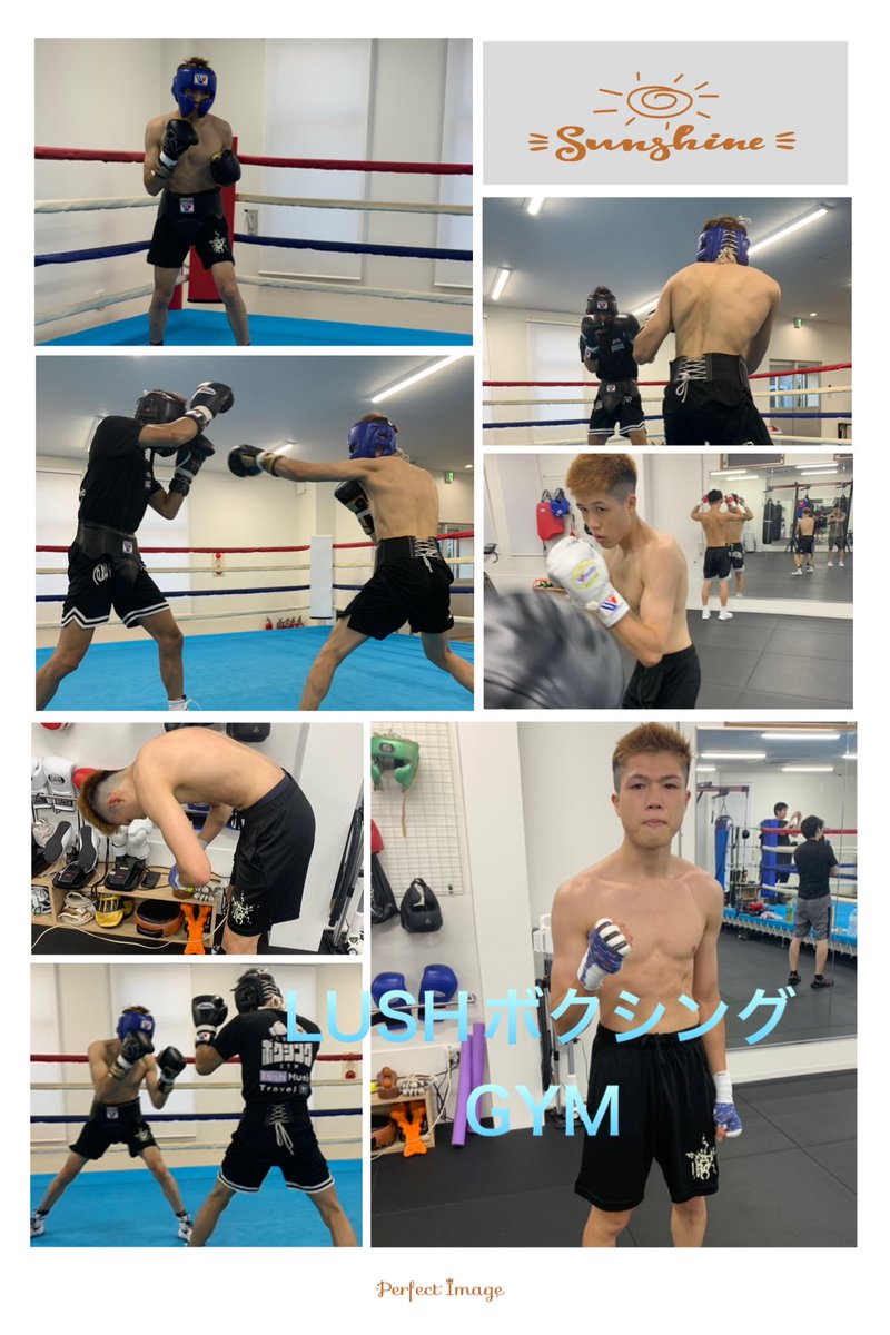 TEAMGRITboxing's tweet photo. ラストスパーリングを終えた藤本翔大選手！
体調も問題無し👍体重も順調👍
後は最終調整して怪我や病気に気をつけて試合の日を迎えるだけ😁
翔大選手を応援の皆様！パワー送ってあげて下さい🙏😁
#LUSHボクシングGYM
#藤本翔大
#8月3日刈谷試合 https://t.co/WP0LfiLuBg