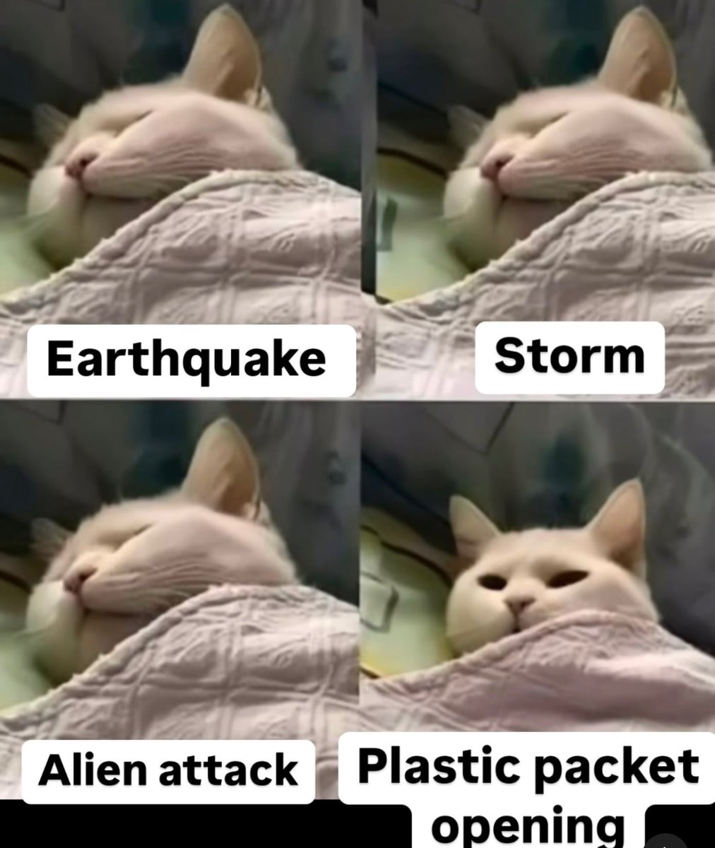 <a href="/itsme_urstruly/">Wholesome Side of 𝕏</a>