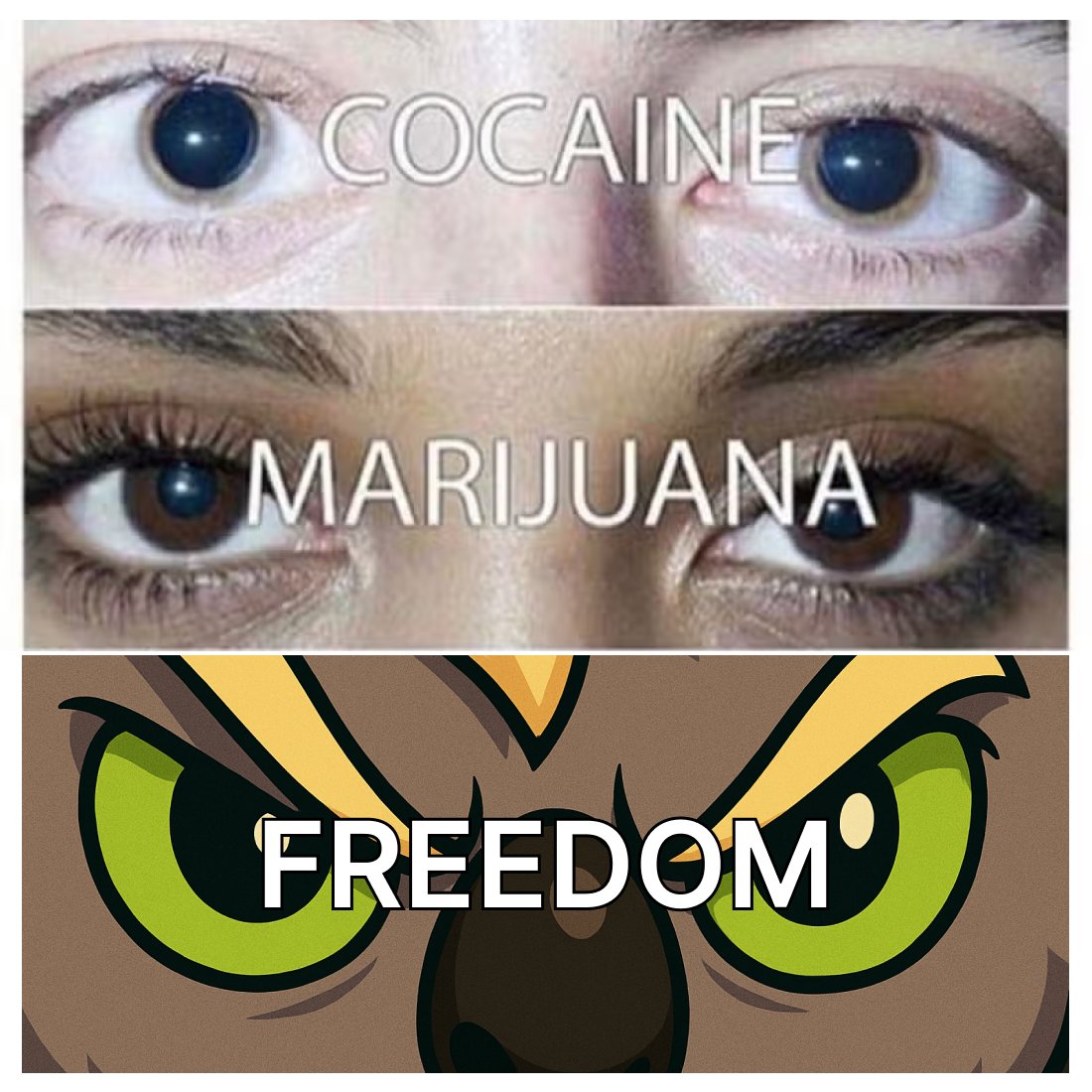 freedom_mvmt's tweet image. Nothing compares to the feeling of freedom.