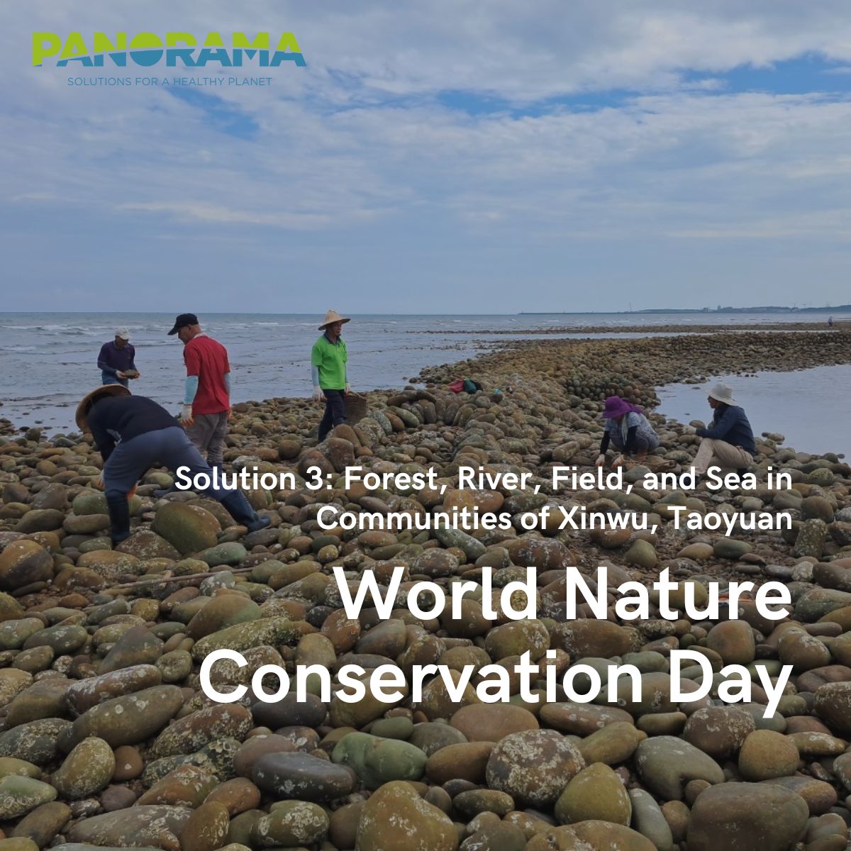 Panorama_Planet's tweet photo. This #WorldNatureConservationDay, discover real-world #PANORAMASolutions restoring nature, protecting wildlife and empowering communities worldwide. 🌍🌱 From soil health to species protection, local action is driving global change. Explore here: https://t.co/7M9YmtAfPg https://t.co/ETRBFXGFDF