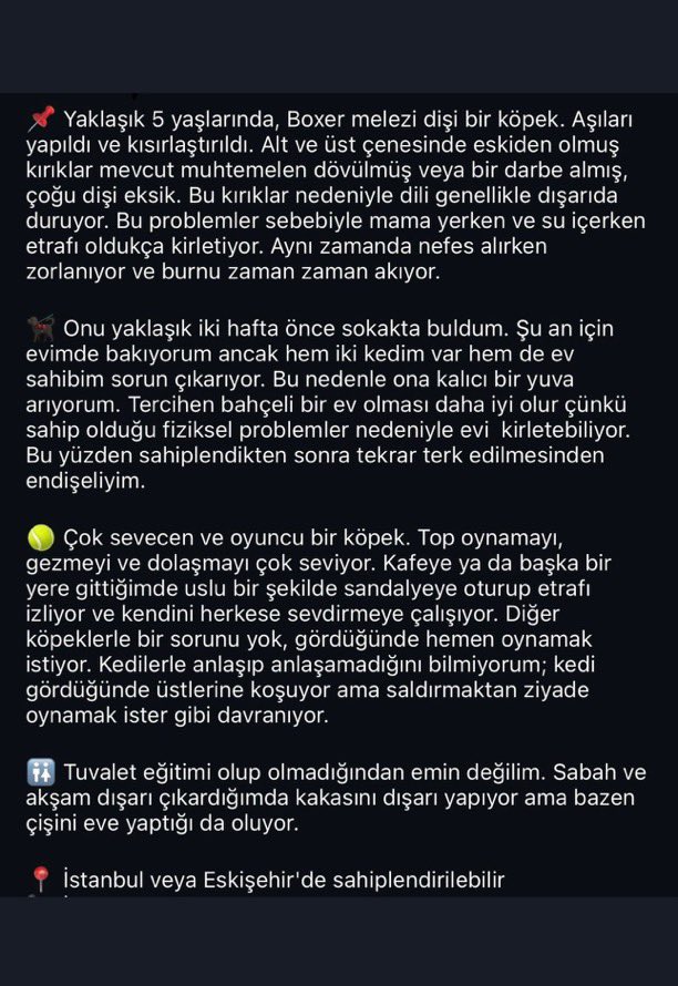 Çok acılar çekmiş bu güzel kızımıza yaşadıklarını unutturacak biri  çıkıp YUVA olmak istermi? 
 Detaylarını öğrenmek isteyen aşağıdaki metni okuyabilir ⬇️
 📌İstanbul veya Eskişehir e sahiplendirme yapılabilir..

<a href="/aysun6676/">patisever 🐾🐱🐶</a>