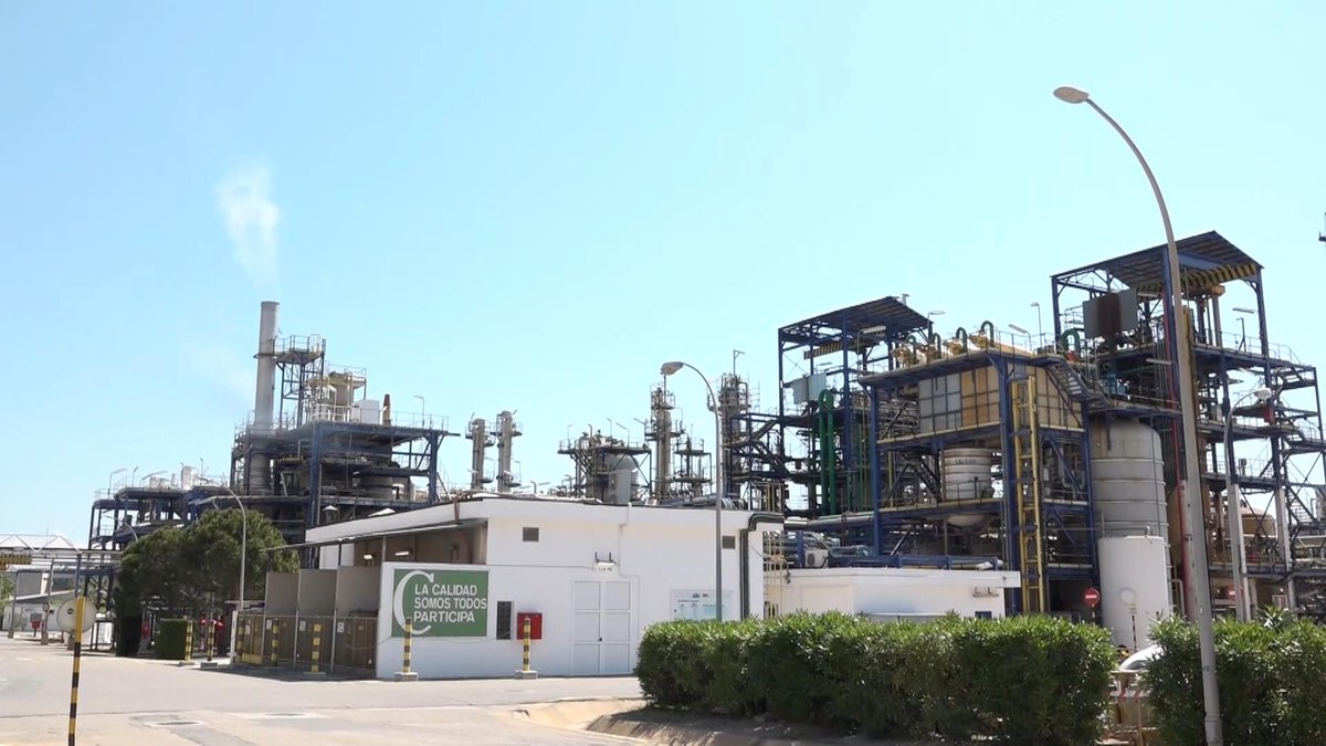 CanalTerrassa's tweet image. El @govern vol reduir un 31% el CO2 que s’emetia el 1990 a Catalunya 

La proposta s’ha redactat prenent com a base les recomanacions del Comitè d’Experts sobre el Canvi Climàtic #Terrassa 

▶️terrassadigital.cat/el-govern-vol-…