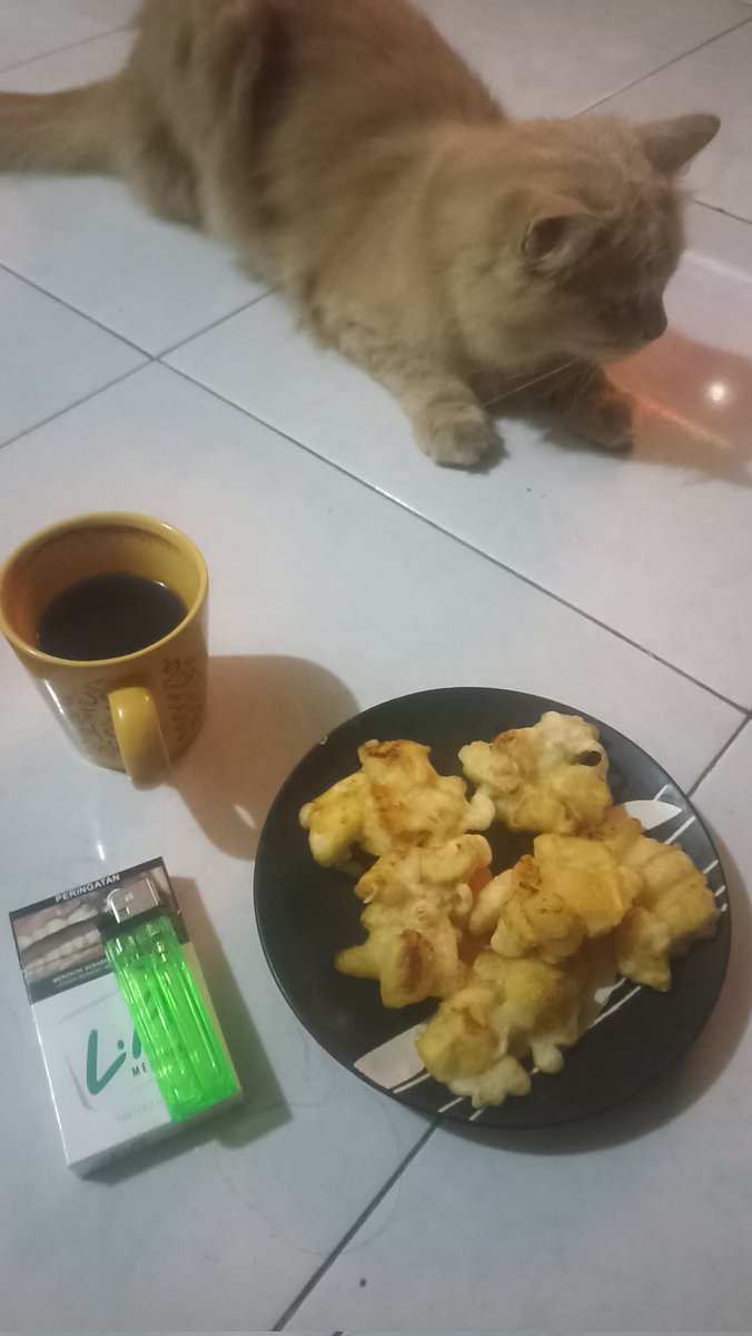 Gerimis gini cocok emang makan ginian.. Kasian ada yg ga dikasi.. 🤣