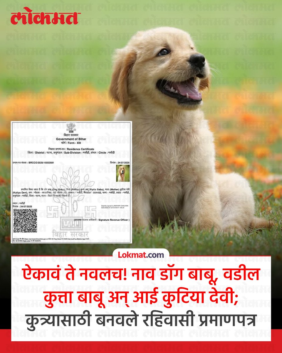 lokmat's tweet image. बिहारमध्ये काही दिवसातच विधानसभेच्या निवडणुका होणार आहेत. या निवडणुकीच्या पार्श्वभूमीवर रहिवासी प्रमाणपत्राचा मुद्दा उपस्थित होत आहे. निवडणूक आयोगाने मतदार पुनरीक्षणाची मोहिम वाढवली आहे. दरम्यान, आता निवासी प्रमाणपत्रांसाठी अर्जांचा पूर आला होता. सरकारने निवासी प्रमाणपत्रांसाठी…
