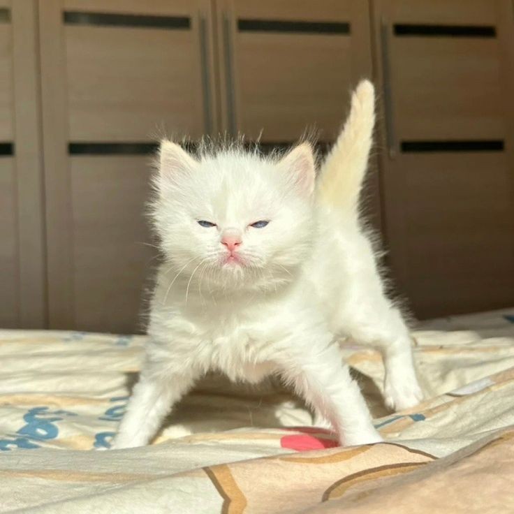 "Who woke me up..."