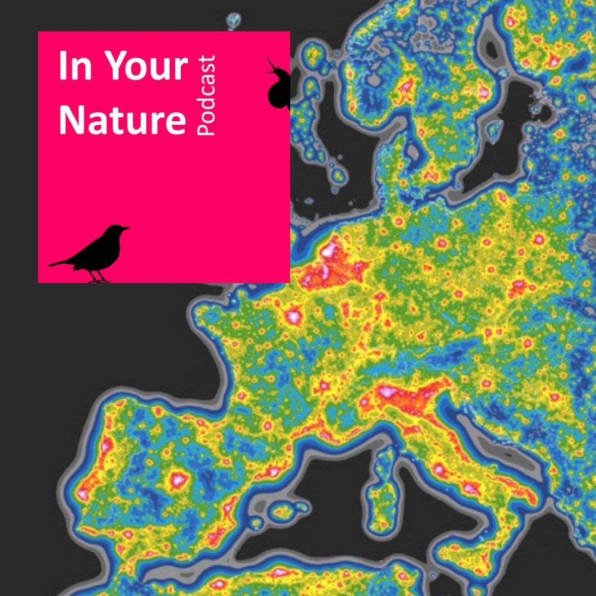 BirdWatchIE's tweet image. The latest episode of our In Your Nature podcast, out today, explores how artificial light impacts wildlife, human health and our connection to the cosmos. Featuring special guest Kerem Ali Asfuroglu of #DarkSource and #DarkSkiesIreland. open.spotify.com/episode/1kMYKE…