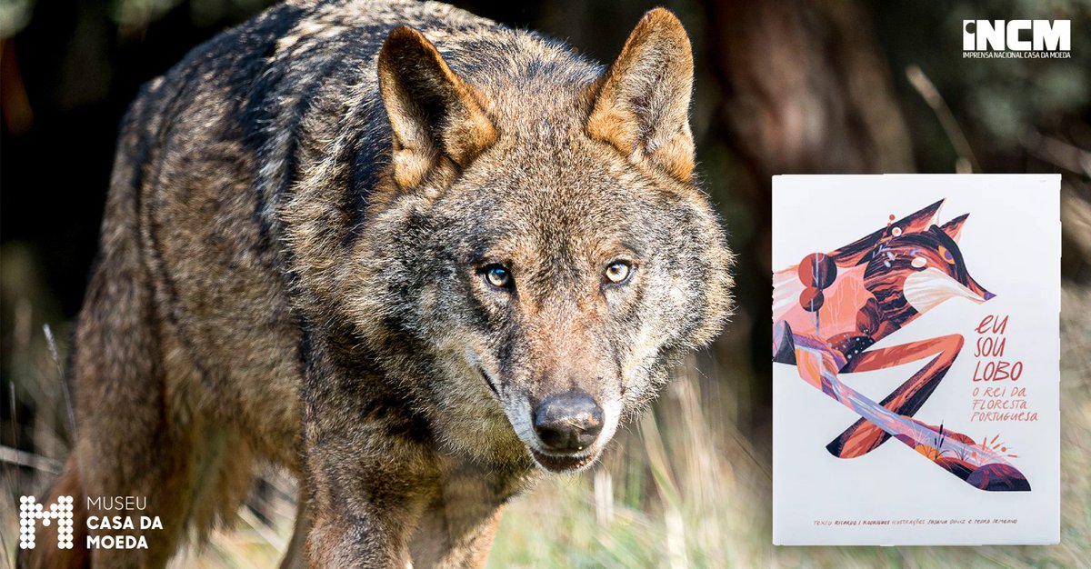 Hoje celebra-se o Dia Nacional da Conservação da Natureza!

🐺Neste sentido convidamo-lo a mostrar aos mais novos lá em casa o livro 𝑬𝒖 𝑺𝒐𝒖 𝒐 𝑳𝒐𝒃𝒐, da coleção infantojuvenil do Museu Casa da Moeda

A natureza agradece se cuidarmos dela e as gerações futuras também! 💚