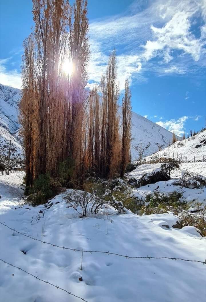 PatyAlvarezO's tweet image. "Hoy decide:
Valorarte y ser paciente.
Elegir tu paz mental.
Hacer lo que amas y te hace feliz.
Agradecer por lo que tienes
Ir un paso a la vez
Disfrutar de los pequeños detalle de la vida"
#BuenosDiasATodos 🫶☕️🌹
Que tengas un gran inicio de semana 💚⚘️🌟💞
#FelizLunes