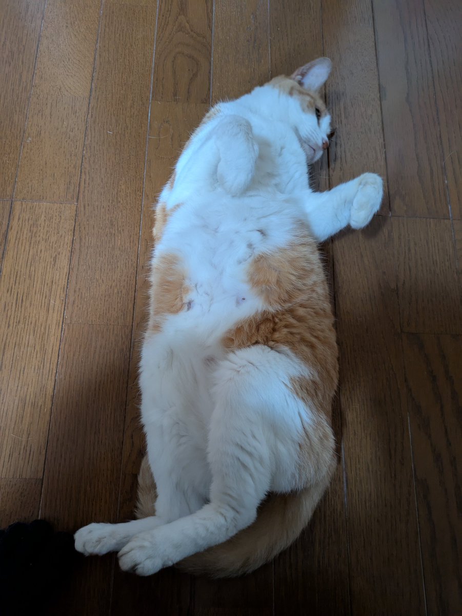 wellzo_hell's tweet image. 変なポーズのばあさん😸