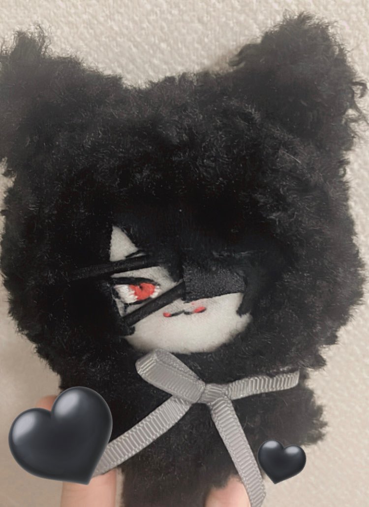 O__Iocchann's tweet image. ぬいリベーンジ🐈‍⬛