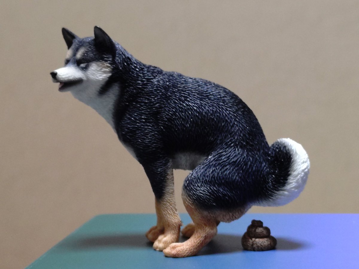 ilice_nekota's tweet image. 仕事から帰宅。
昨日のワンフェスでの戦利品を開封。
コレは良いものだ。

#WF2025夏
