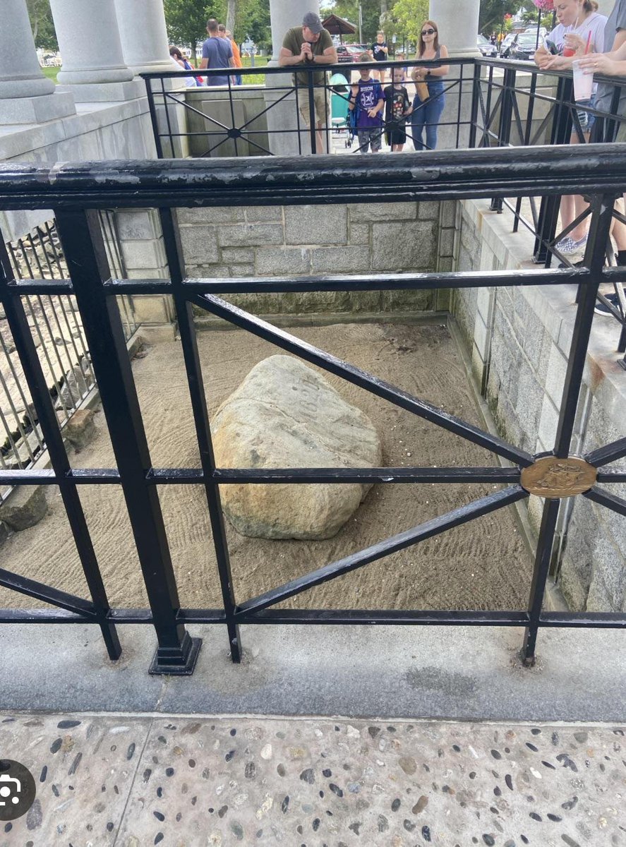 DamnThatsInteresting tweet media