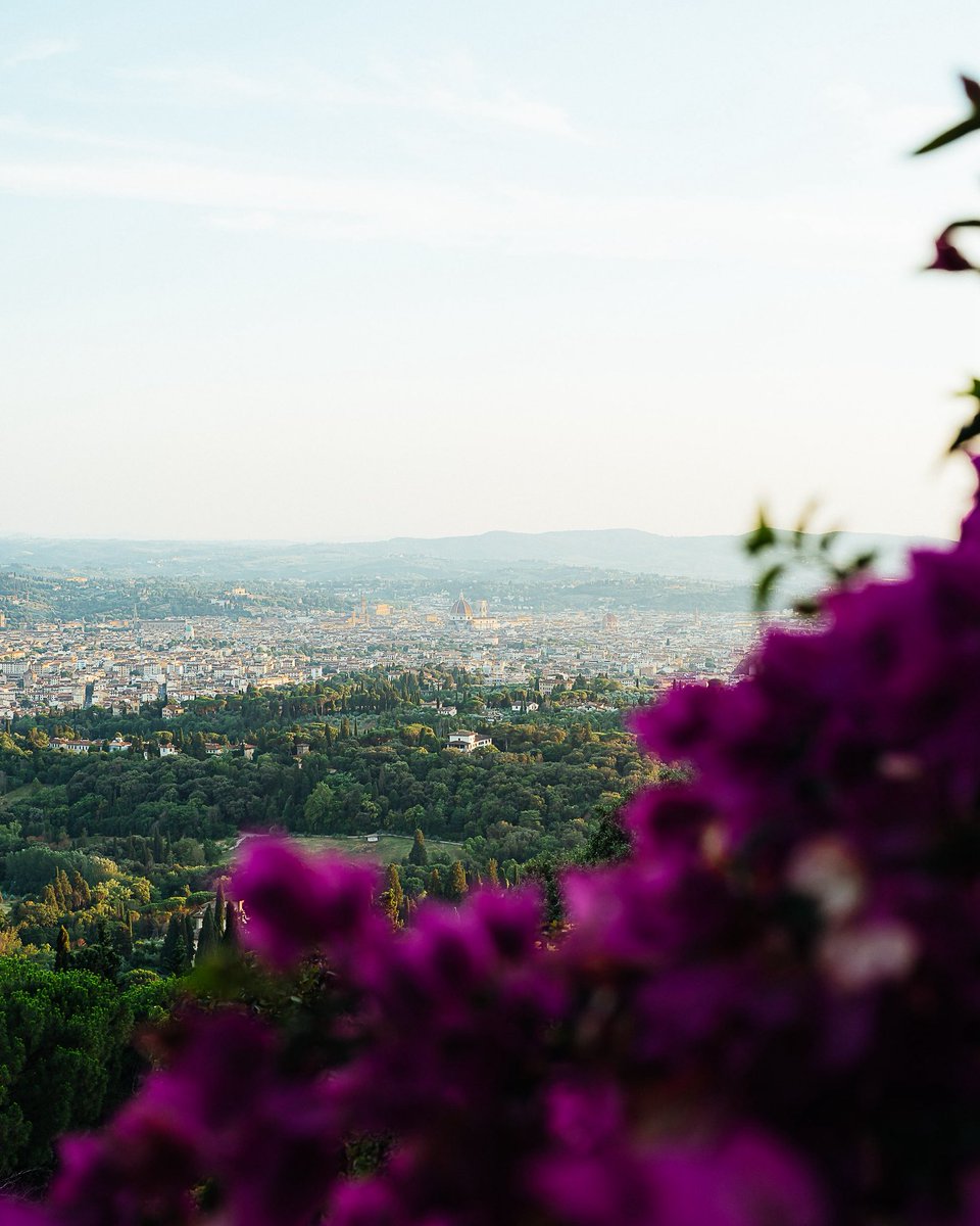 Italian summer 🇮🇹