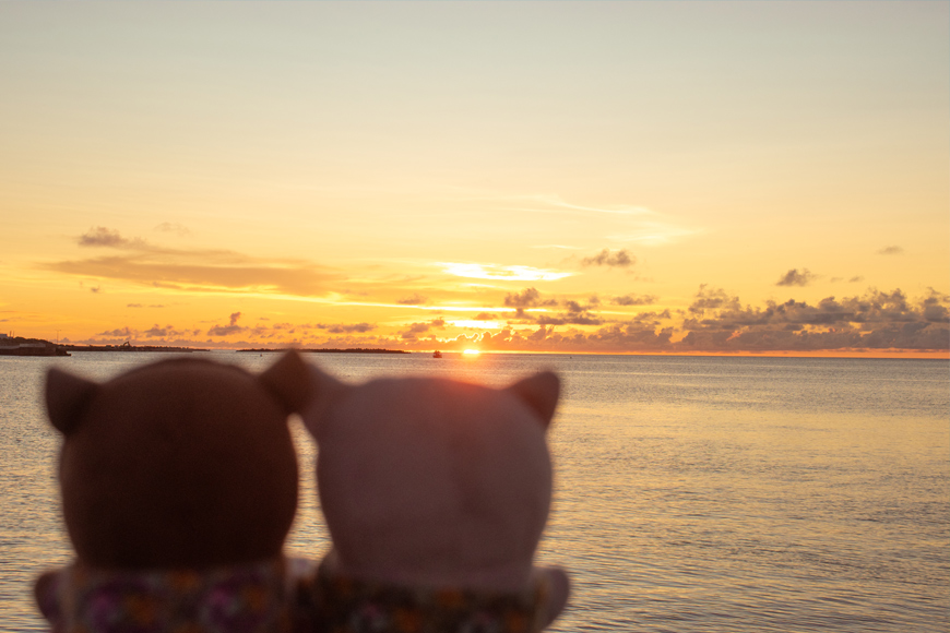 nui_and_photo's tweet image. 鯉月ふぉぜと与論いろいろ🏝

【与論島ハイライト】
ふぉぜちゃんをバッグにしまうのを忘れたまま宿にチェックインしようとしたら宿の人に見つかり、「あら可愛い！その子たちの名前もチェックイン票に書いといて！」と、ふぉぜちゃんもチェックインさせられた回