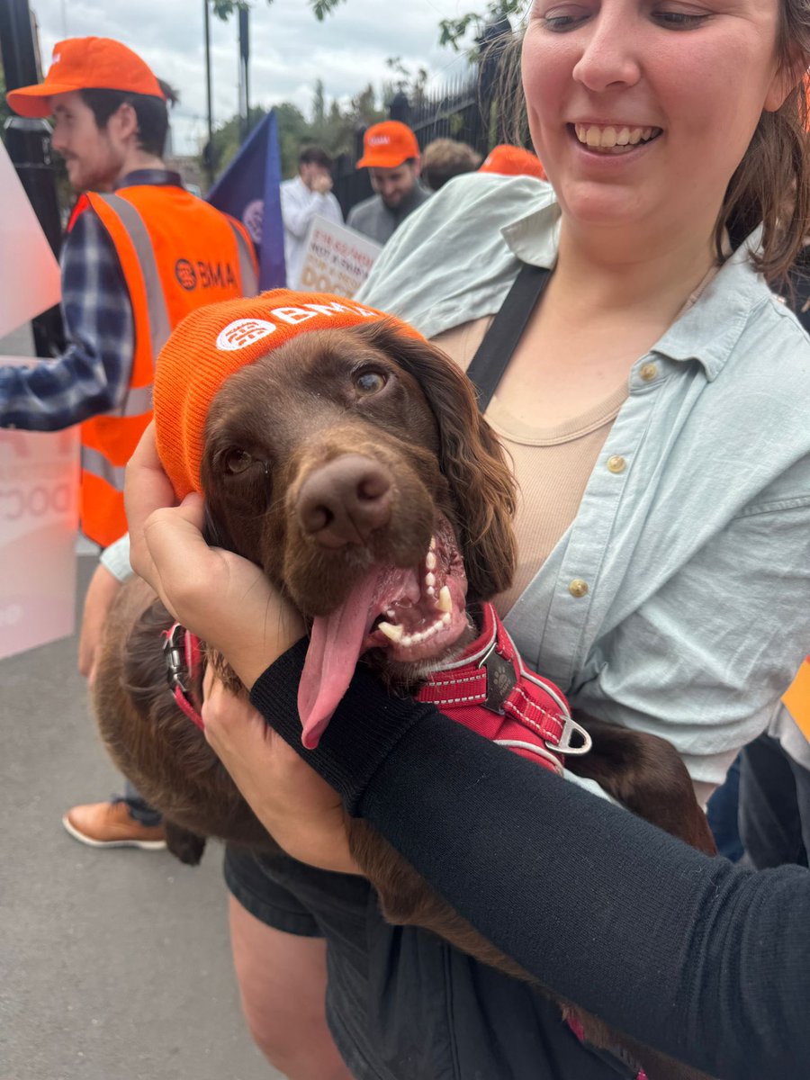 BMA Northern Resident Doctors Committee tweet media