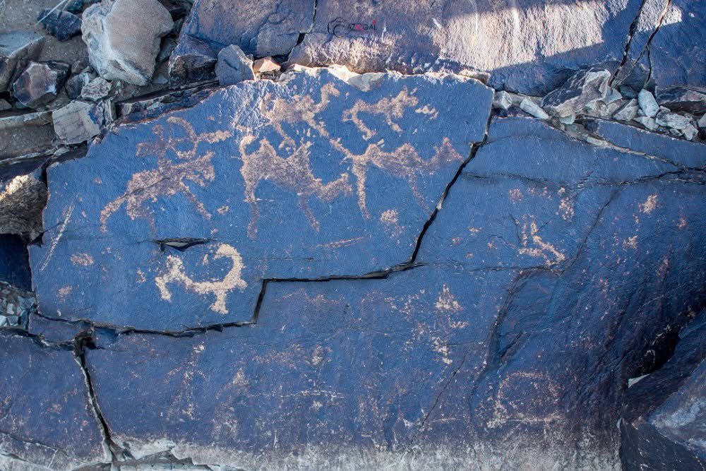 Сайхан гарууд хавтгай ч юм уу тэмээ ч юм уу бүү мэд ямар ч байсан харваж алдаг байж.