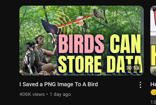 mebeim's tweet image. Amazon S3, Google Cloud, One Drive, Dropbox... why are you wasting your money I literally backup my photos into pigeons