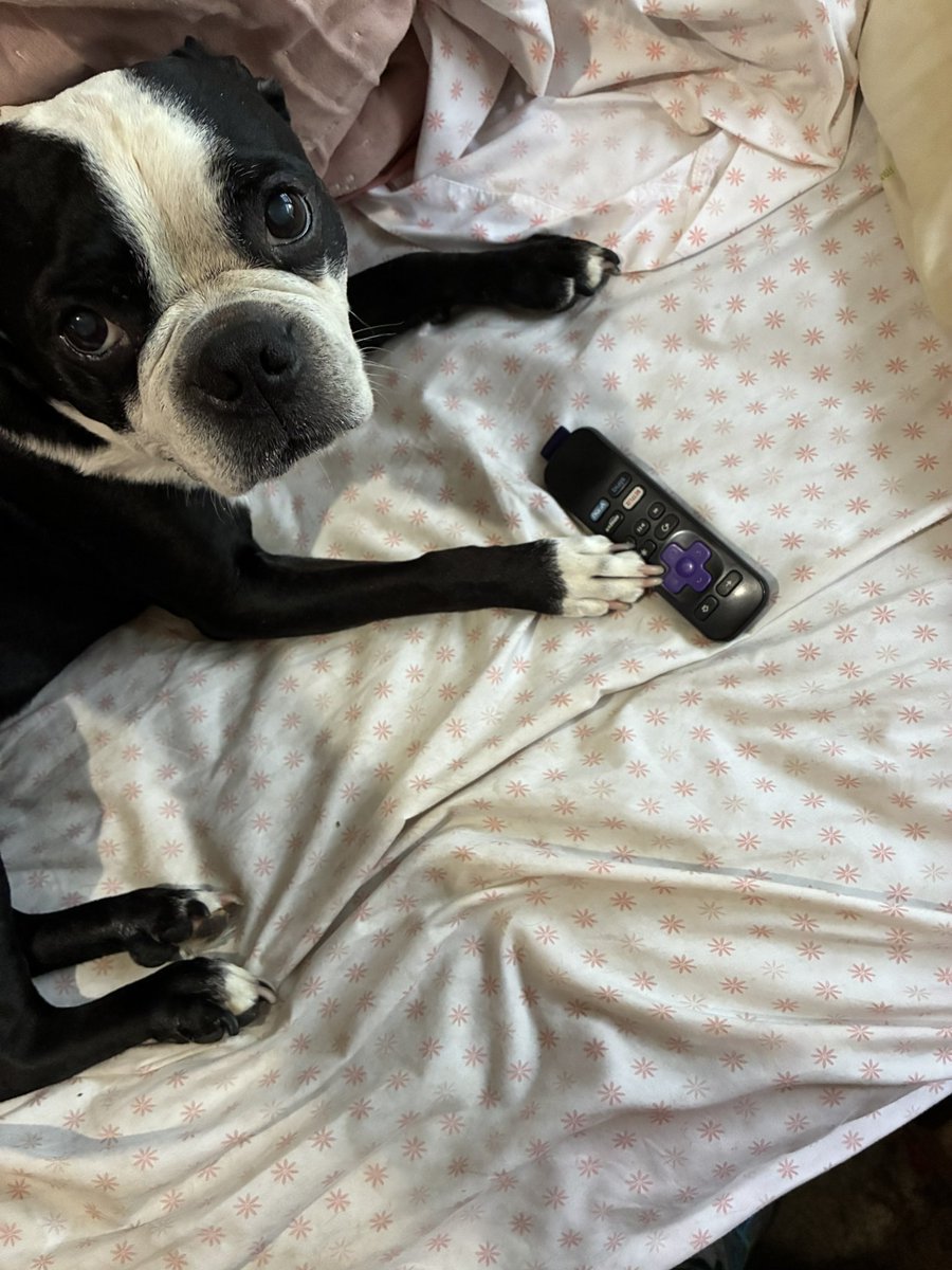 aricstotle's tweet image. My turn to watch what I WANT DAD! ๐ถ๐พ boss of Bostys