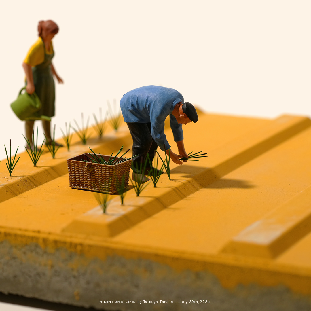 Post by Tatsuya Tanaka 田中達也 on X: 農地ブロック