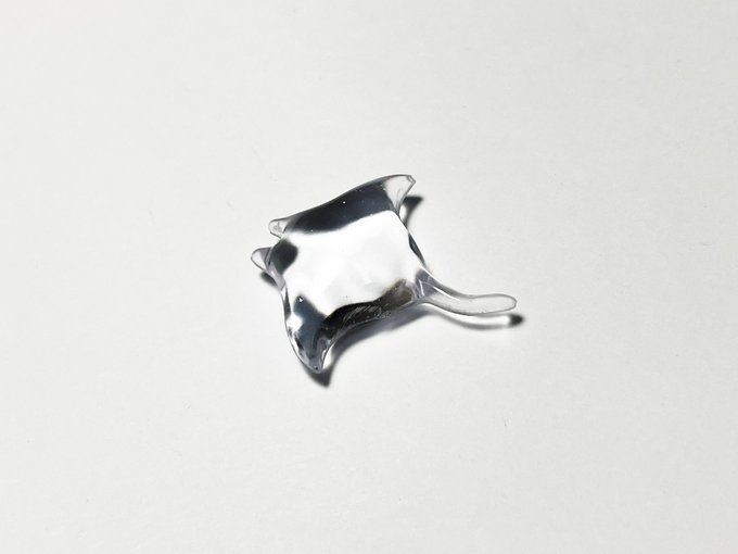 handmade_labo's tweet image. マンタが作れるモールドです( ´͈ ᵕ `͈ )

handmadelabo.jp/ca267/2502/p-r…

#レジン　#レジン好きな方と繋がりたい #resin #シリコンモールド #レジン用モールド