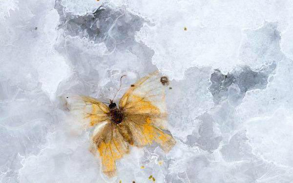 Kırılmış bir kalbin hesabı bu dünyaya ağır gelir.

Müslim Coşkun