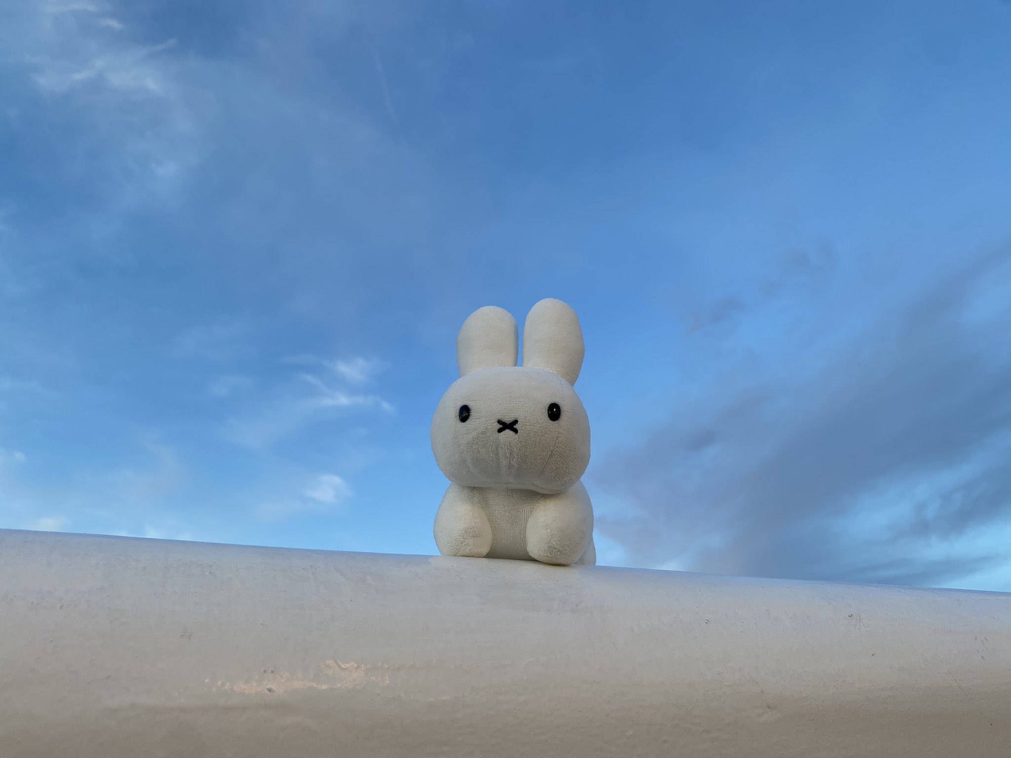 青うさぎ Qpipi on X: 