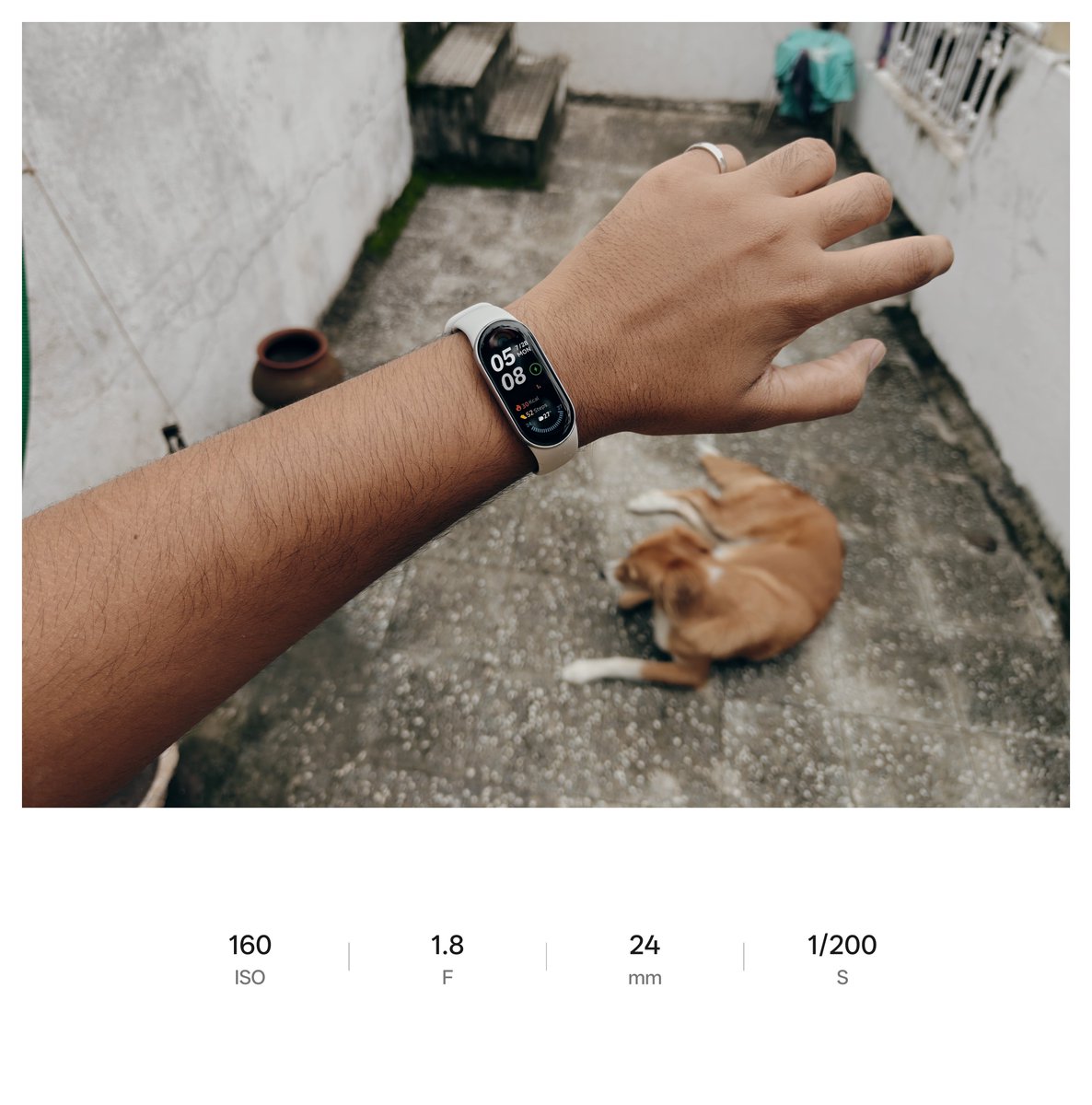 AnshuTechblog's tweet image. Xiaomi Band 9 🎀
Got this for ₹2,000 (including shipping) all thanks to @a_fresh_shinobi vro.
Mi Band 3 ~ Mi Band 9 ⌚
(Quite an upgrade)
I'm quite happy with this purchase cuz I do like to see my steps even if they're a little bit off (the number helps push for the goal)