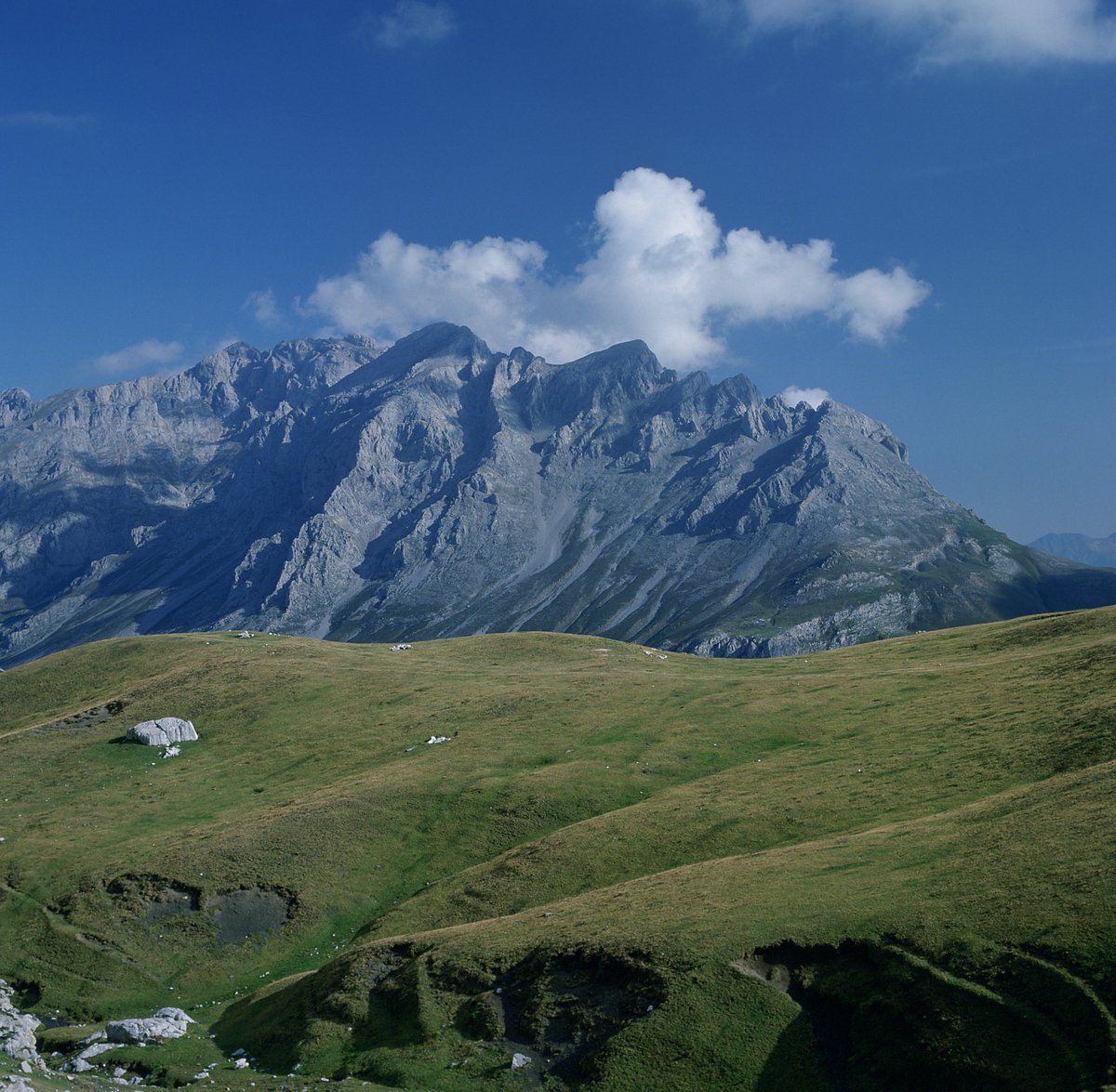 oapngob's tweet image. ⚪🔴 Hoy es el #DíadeCantabria, tierra de cordilleras, valles, bosque y costa salvaje 🏞️
Desde el OAPN nos unimos a esta celebración poniendo en valor uno de sus grandes tesoros naturales: el Parque Nacional de los Picos de Europa. ⛰️🌳🌸🐦⬛