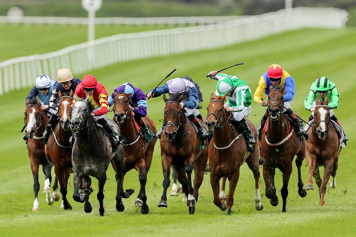 course_ni's tweet image. PLACE TRIXIE at @Galway_Races
Not much value first 3 races - we go for a place Trixie on the first day at Ballybrit.
6.40 Comfort Zone 5-1
7.15 Honeysuckle Rose 5-1
7.50 Starford 9-2
#PlaceTrixie #Singles #GalwayFestival