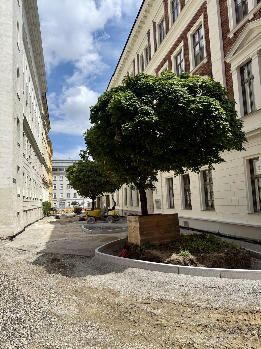 Wien ist hoch verschuldet. Das ist allerdings für die links-grünen Ideologen der Stadt gar kein Grund, nicht weiter alles zu tun, um die Steuerzahler der Stadt mit teuren Umbaumaßnahmen, die sie selber zahlen, zum Umstieg auf das Bambusrad zu zwingen.

Der Autostellplatz soll so