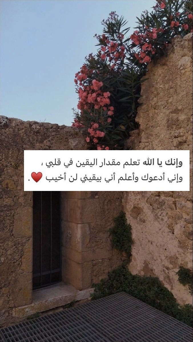 1A_610's tweet image. 