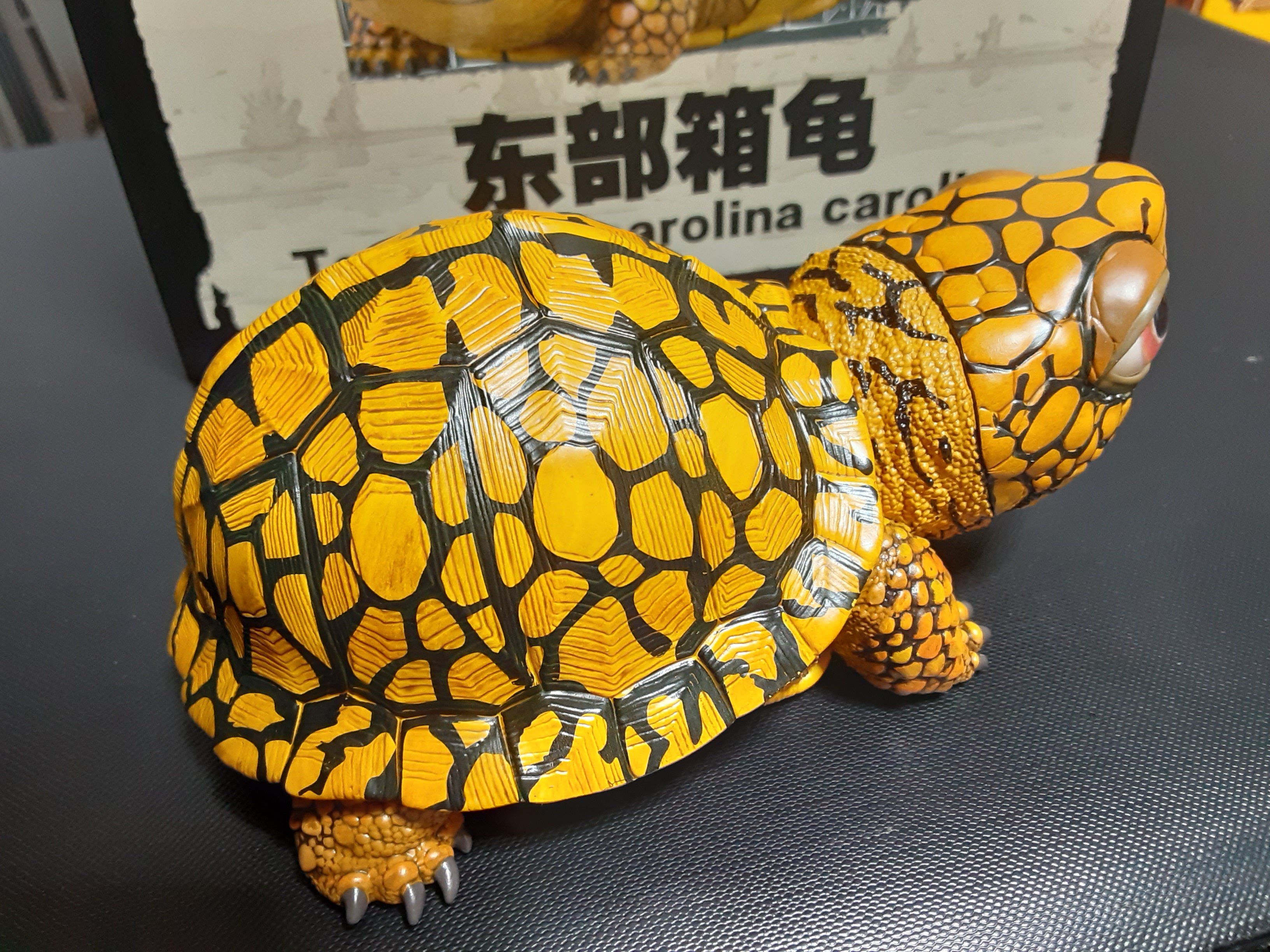 動物の惑星 亀 Yahoo!オークション - 【廃番】動物の惑星 オオアタマガメ