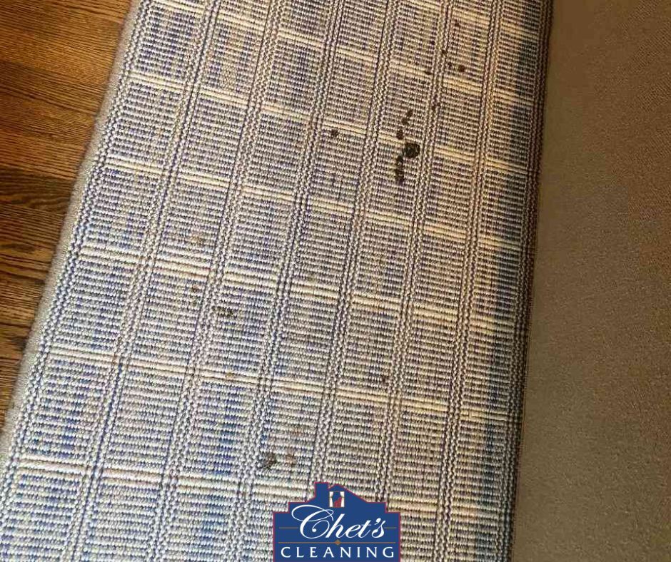 Chet's Cleaning tweet media