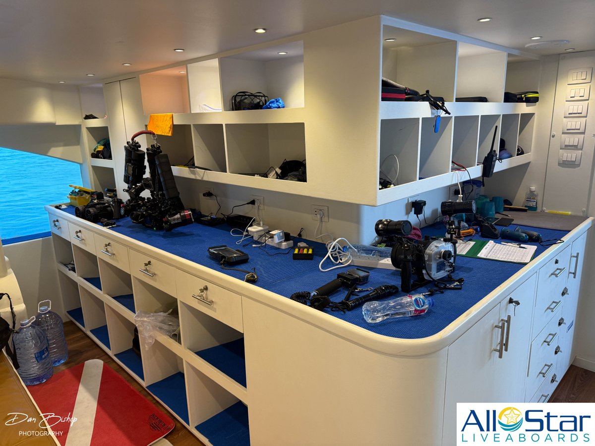 We know how important it is to capture those underwater photo memories and we want to give your camera gear the luxury experience too! The All Star Scuba Scene has a camera set up area with plenty of room, drawers to stash stuff and lots of outlets! 📸Red Sea
#allstarliveaboards