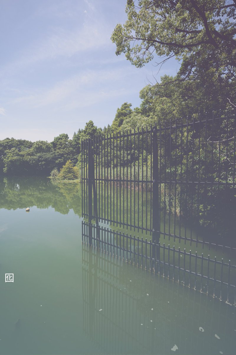 kasyan0com's tweet image. あの日水没してしまった柵