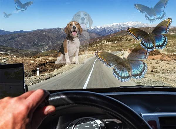 learnpool_fun's tweet image. Your brain can make you see people that don’t exist. 

Not ghosts, not hallucinations. Hyper-real strangers sharp as daylight, standing, sitting, staring.

It’s a rare syndrome, harmless but haunting.

It’s called Charles Bonnet Syndrome.

Read up, you'll be even more surprised🧵